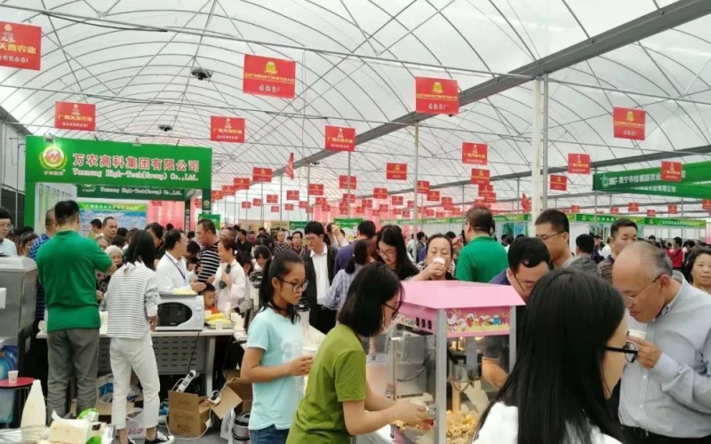 第二届中国（南宁）鲜食玉米大会开幕10月27日举办