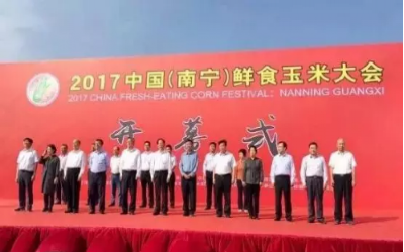 第二届中国（南宁）鲜食玉米大会攻略在手，说走就走！